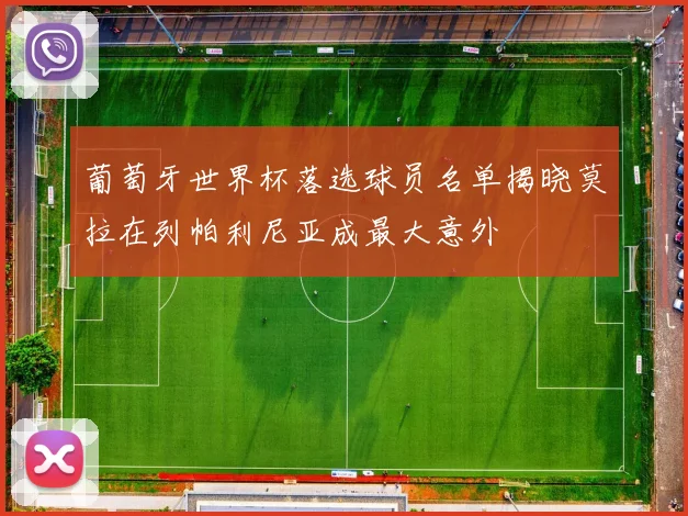 葡萄牙世界杯落选球员名单揭晓莫拉在列帕利尼亚成最大意外